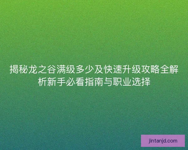 揭秘龙之谷满级多少及快速升级攻略全解析新手必看指南与职业选择