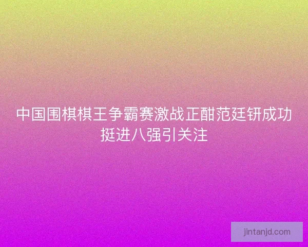 中国围棋棋王争霸赛激战正酣范廷钘成功挺进八强引关注 中国围棋棋王争霸赛激战正酣范廷钘成功挺进八强引关注